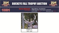 Green 21 Trophy Buck