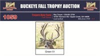 Green 51 Trophy Buck