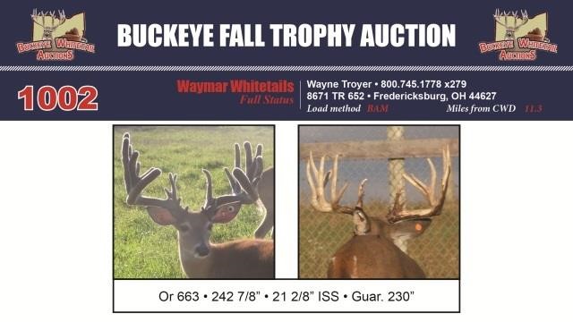 Buckeye Fall Trophy Auction