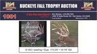 W 502 Trophy Buck