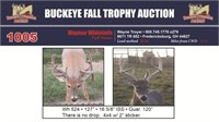 W 524 Trophy Buck