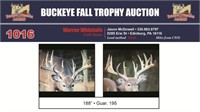 188" Trophy Buck