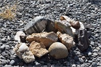VERY NICE ROCK COLLECTION ! OS