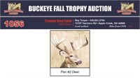 #2 Trophy Buck