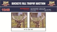 W 72 Trophy Buck