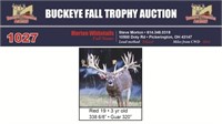 Red 19 Trophy Buck