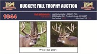 W 74 Trophy Buck