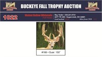 Y166 Trophy Buck 150 7/8", Gar 140", 21 4/8" IS