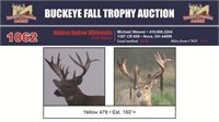 Yellow 478 Trophy Buck