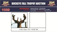 Yellow 453 Trophy Buck