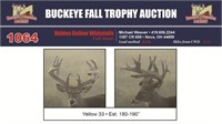 Yellow 33 Trophy Buck