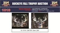 Orange 1518 Trophy Buck