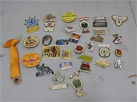 Lion's Pins & Badges, etc.