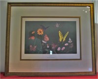 Framed Ray Harm print - "American Butterflies"
