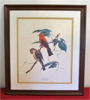 Framed Ray Harm print - "Scarlet Tanager" 22"x26"