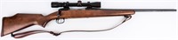 Gun Savage 110 Bolt Action Rifle in 243Win