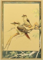 Watercolor of Kookaburras. 1920s. Signed