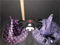 Spectacular Witch Hats and Stuffed Spider