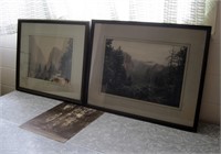 3 Vintage Photographs Yosemite & CA Redwooods
