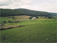 7 Acres of Open Pasture Land in Willis VA