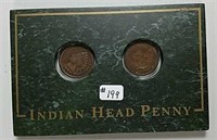 2 Indian Head Cents in Granite Type display