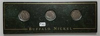 3  Buffalo Nickels in Granite Type display