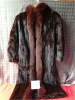 Beautiful Beaver full coat