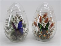 (2) Butterfly Specimen Mounts in Glass Displays