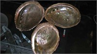 Three Sea Shell bowls