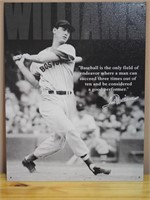 Tin Photo Print of TED WILLIAMS Baseball Player