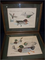 Bob Bell signed Duck prints