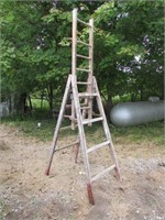Wooden Ladder/Scaffolding