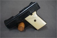 *Raven Arms Model MP-25 25 ACP Pistol