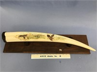 An impressive Approx. 27 1/2" fossilized walrus tu