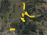 High Bidders Choice of 8 Lots Offered