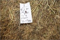 Hay-Grass-Lg. Squares-1st-11 Bales