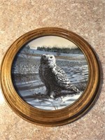 "The Snowy Owl" by Jim Beaudoin
