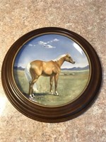 "The American Quarterhorse" by Susie Whitcombe