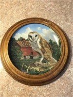 "The Barn Owl" by Jim Beaudoin