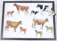 9-TIN DE LAVAL ADVERTISING COWS and CALVES