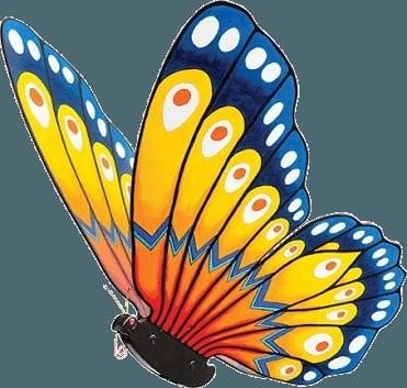 Rotary Benefit Butterfly Auction