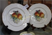 FRUIT DECORATED PLATES