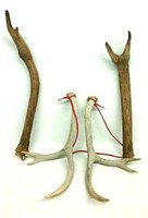 (2) Sets of Antlers