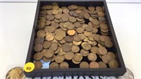 TRAY OF WHEAT PENNIES