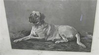 1891 steel engraving of a mastiff Lowell Boston