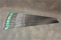 (10) Mossy Oak  350 29" Arrows, Unused