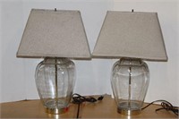 Pair of Glass Lamps with Shades