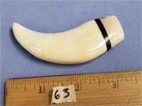 An impressive polar bear tooth, capped with baleen