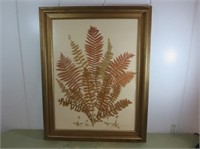 Framed Dried Plant, 23" x 29"