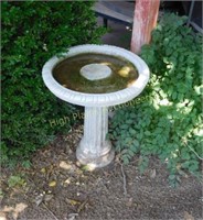 Bird Bath